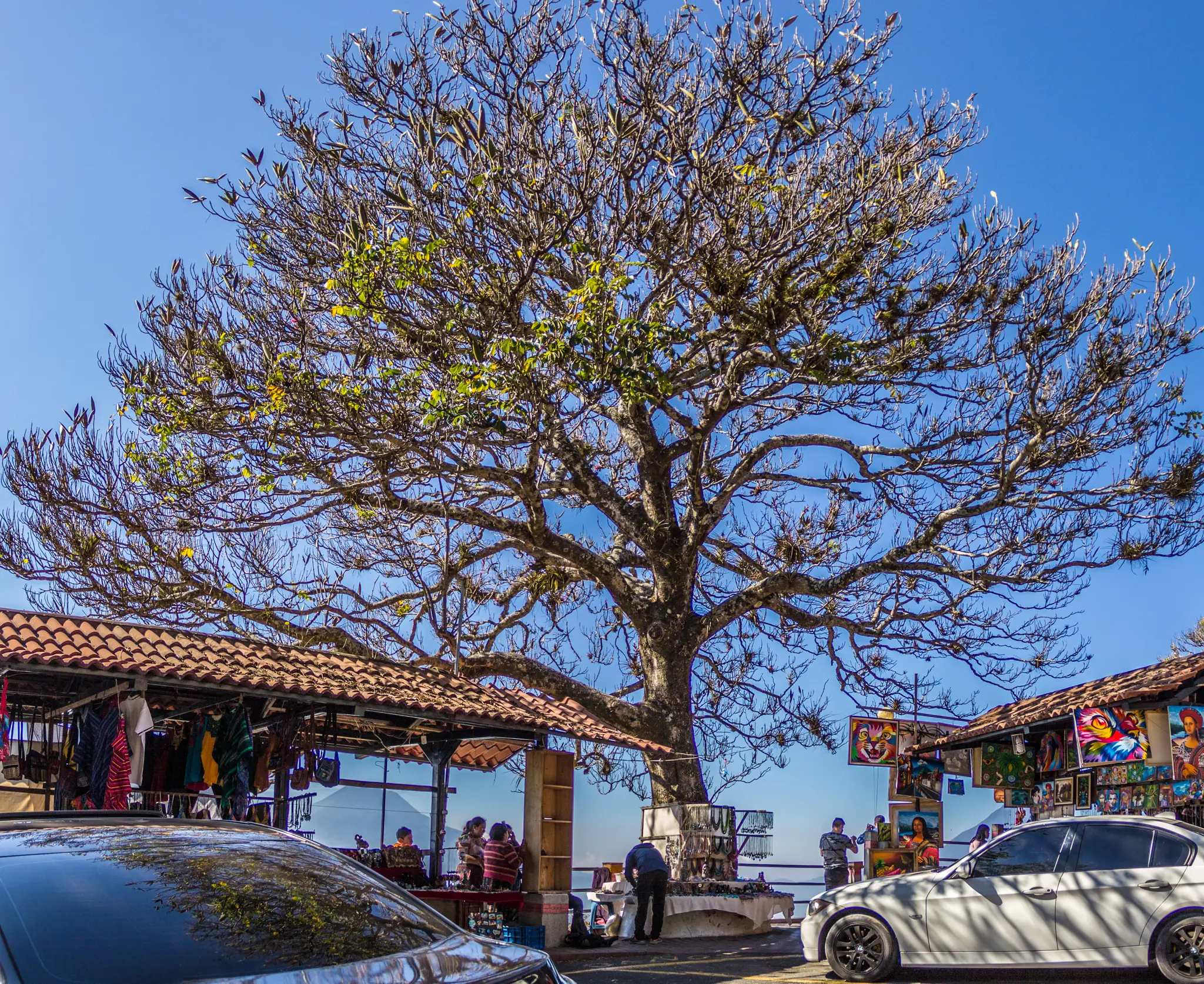 IMG 0214 Pano